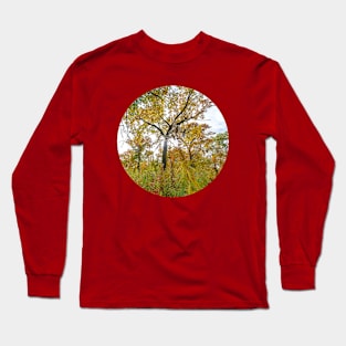 Sunshine Woods Photograph Long Sleeve T-Shirt